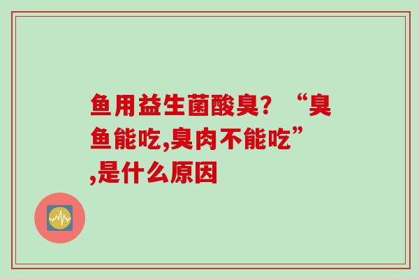 鱼用益生菌酸臭?“臭鱼能吃,臭肉不能吃”,是什么原因 鱼用益生菌酸臭?“臭鱼能吃,臭肉不能吃”,是什么原因