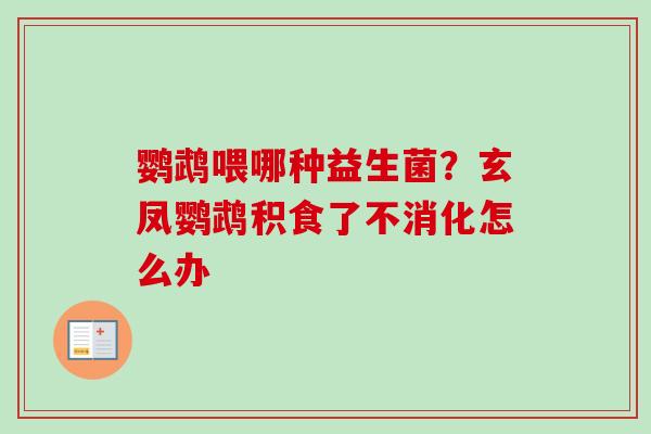 鹦鹉喂哪种益生菌?玄凤鹦鹉积食了不消化怎么办 鹦鹉喂哪种益生菌?玄凤鹦鹉积食了不消化怎么办