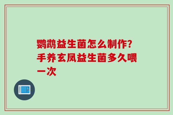 鹦鹉益生菌怎么制作?手养玄凤益生菌多久喂一次 鹦鹉益生菌怎么制作?手养玄凤益生菌多久喂一次