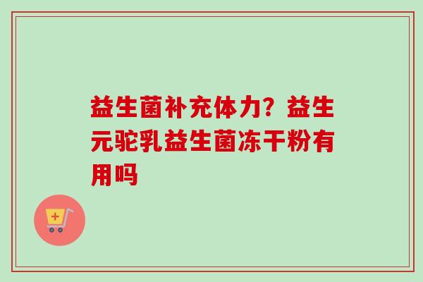 益生菌补充体力?益生元驼乳益生菌冻干粉有用吗 益生菌补充体力?益生元驼乳益生菌冻干粉有用吗