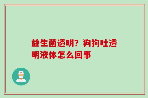 益生菌透明?狗狗吐透明液体怎么回事 益生菌透明?狗狗吐透明液体怎么回事