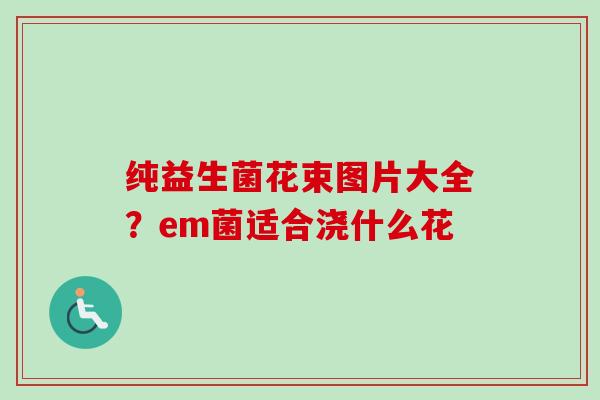 纯益生菌花束图片大全？em菌适合浇什么花