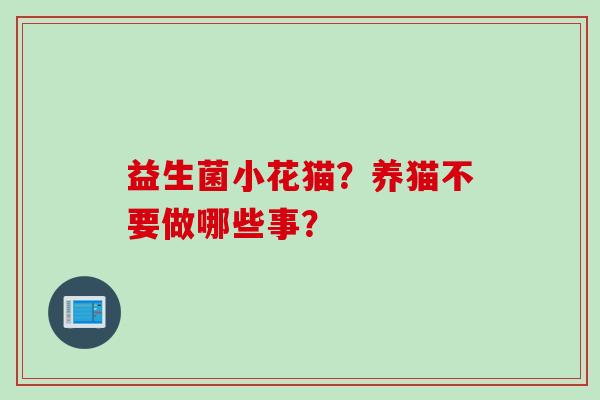 益生菌小花猫?养猫不要做哪些事? 益生菌小花猫?养猫不要做哪些事?