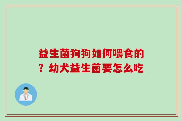 益生菌狗狗如何喂食的？幼犬益生菌要怎么吃