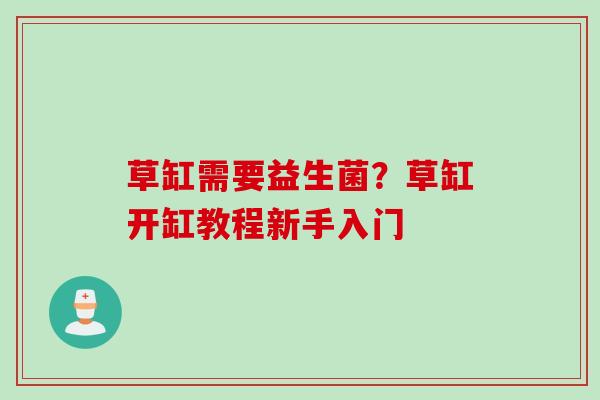 草缸需要益生菌？草缸开缸教程新手入门