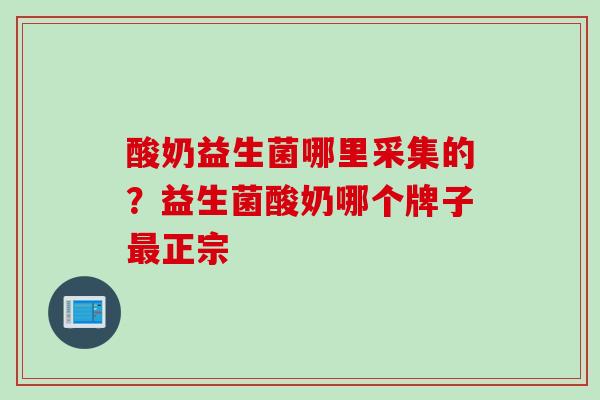 酸奶益生菌哪里采集的？益生菌酸奶哪个牌子正宗