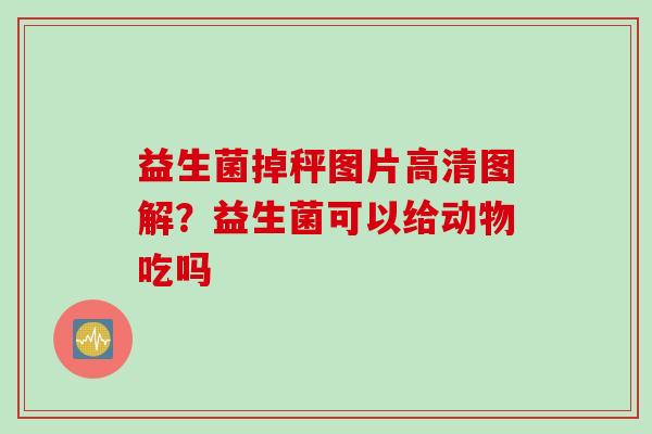 益生菌掉秤图片高清图解?益生菌可以给动物吃吗 益生菌掉秤图片高清图解?益生菌可以给动物吃吗