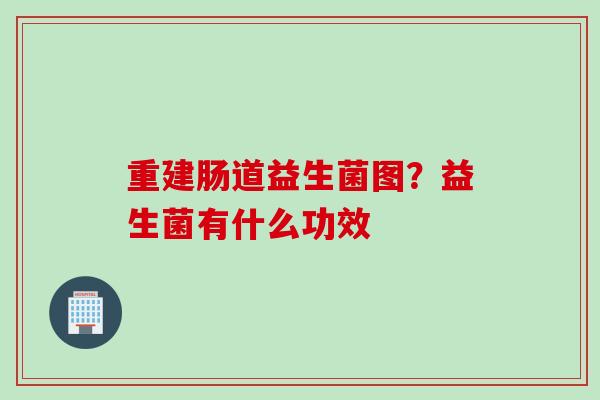 重建肠道益生菌图？益生菌有什么功效