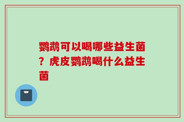 鹦鹉可以喝哪些益生菌?虎皮鹦鹉喝什么益生菌 鹦鹉可以喝哪些益生菌?虎皮鹦鹉喝什么益生菌