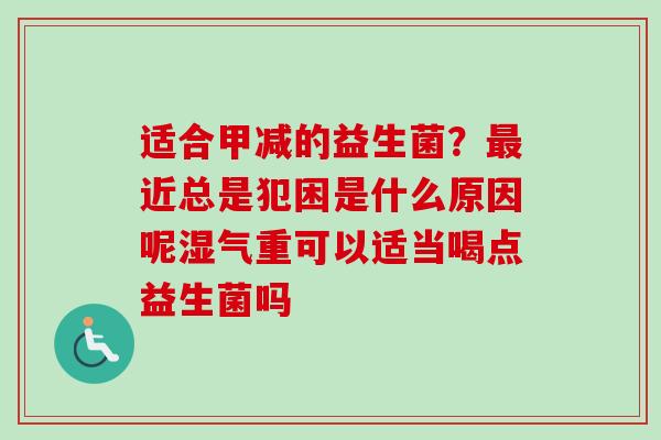 适合甲减的益生菌？近总是犯困是什么原因呢湿气重可以适当喝点益生菌吗