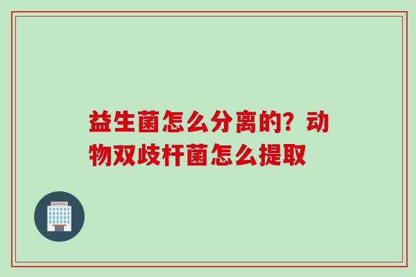 益生菌怎么分离的？动物双歧杆菌怎么提取
