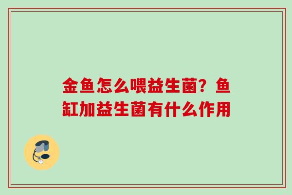 金鱼怎么喂益生菌？鱼缸加益生菌有什么作用