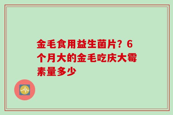金毛食用益生菌片?6个月大的金毛吃庆大霉素量多少 金毛食用益生菌片?6个月大的金毛吃庆大霉素量多少
