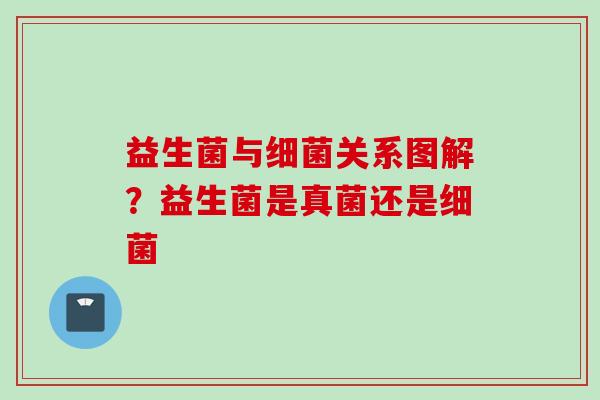 益生菌与关系图解？益生菌是真菌还是
