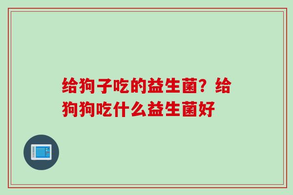 给狗子吃的益生菌？给狗狗吃什么益生菌好