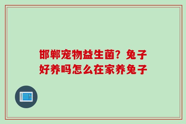 邯郸宠物益生菌?兔子好养吗怎么在家养兔子 邯郸宠物益生菌?兔子好养吗怎么在家养兔子