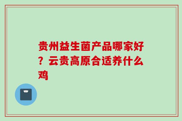 贵州益生菌产品哪家好?云贵高原合适养什么鸡 贵州益生菌产品哪家好?云贵高原合适养什么鸡