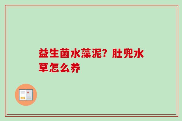 益生菌水藻泥?肚兜水草怎么养 益生菌水藻泥?肚兜水草怎么养