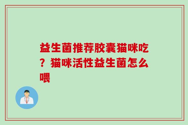 益生菌推荐胶囊猫咪吃？猫咪活性益生菌怎么喂