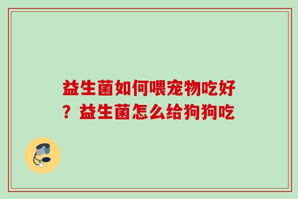 益生菌如何喂宠物吃好？益生菌怎么给狗狗吃