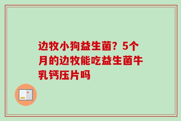 边牧小狗益生菌?5个月的边牧能吃益生菌牛乳钙压片吗 边牧小狗益生菌?5个月的边牧能吃益生菌牛乳钙压片吗