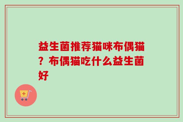 益生菌推荐猫咪布偶猫？布偶猫吃什么益生菌好