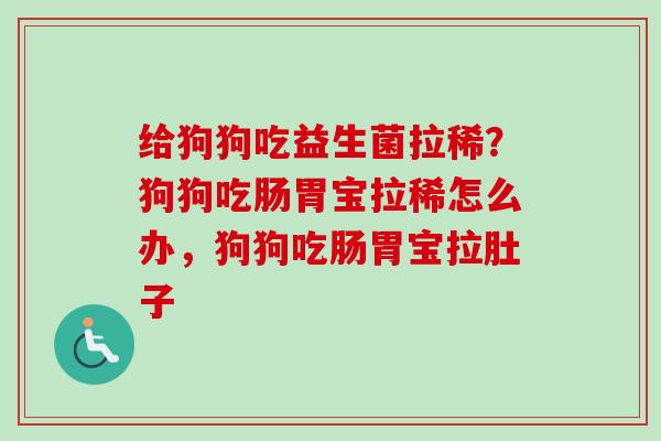 给狗狗吃益生菌拉稀？狗狗吃肠胃宝拉稀怎么办，狗狗吃肠胃宝拉肚子