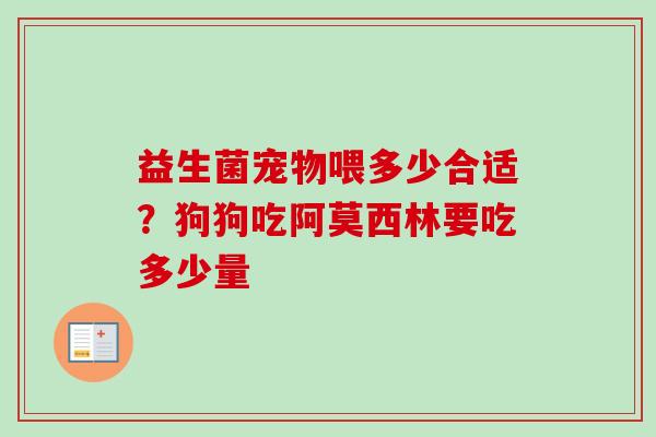 益生菌宠物喂多少合适?狗狗吃阿莫西林要吃多少量 益生菌宠物喂多少合适?狗狗吃阿莫西林要吃多少量