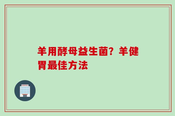 羊用酵母益生菌?羊健胃佳方法 羊用酵母益生菌?羊健胃佳方法