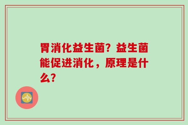 胃消化益生菌？益生菌能促进消化，原理是什么？