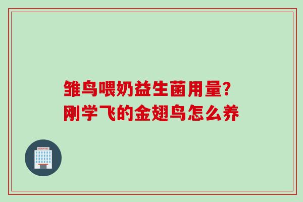 雏鸟喂奶益生菌用量？刚学飞的金翅鸟怎么养