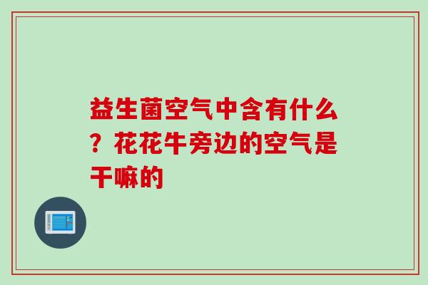 益生菌空气中含有什么？花花牛旁边的空气是干嘛的