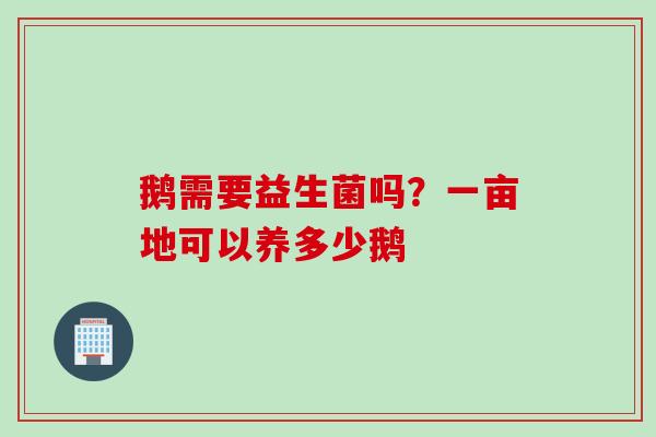 鹅需要益生菌吗？一亩地可以养多少鹅