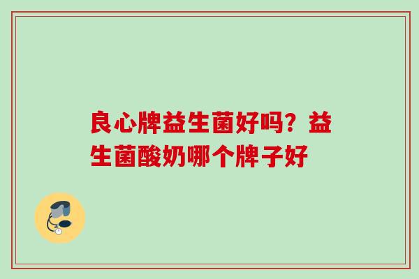 良心牌益生菌好吗？益生菌酸奶哪个牌子好