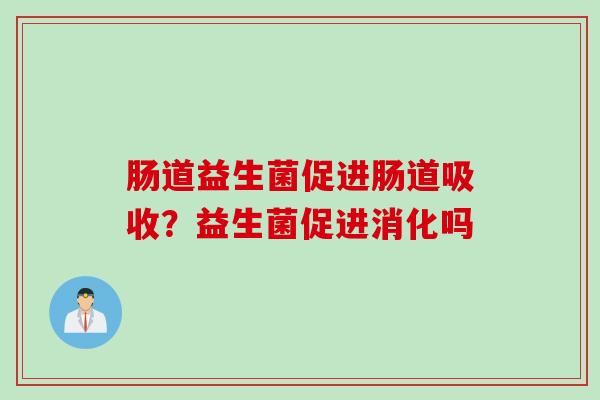 肠道益生菌促进肠道吸收？益生菌促进消化吗