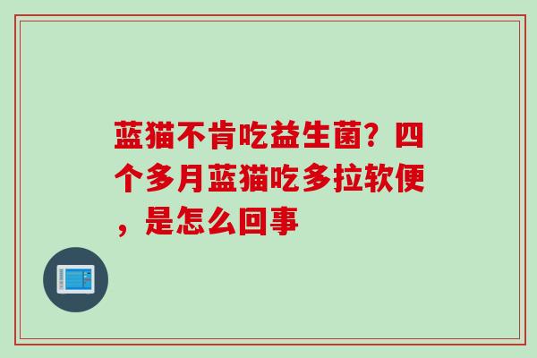 蓝猫不肯吃益生菌?四个多月蓝猫吃多拉软便,是怎么回事 蓝猫不肯吃益生菌?四个多月蓝猫吃多拉软便,是怎么回事