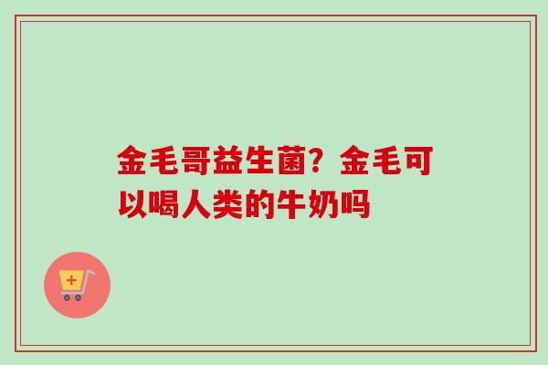 金毛哥益生菌？金毛可以喝人类的牛奶吗