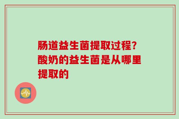 肠道益生菌提取过程?酸奶的益生菌是从哪里提取的 肠道益生菌提取过程?酸奶的益生菌是从哪里提取的
