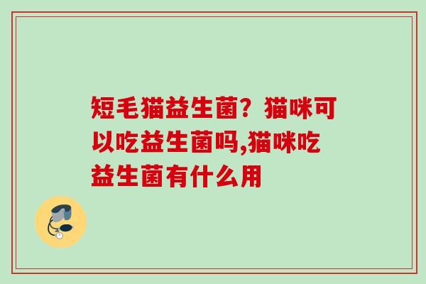 短毛猫益生菌?猫咪可以吃益生菌吗,猫咪吃益生菌有什么用 短毛猫益生菌?猫咪可以吃益生菌吗,猫咪吃益生菌有什么用