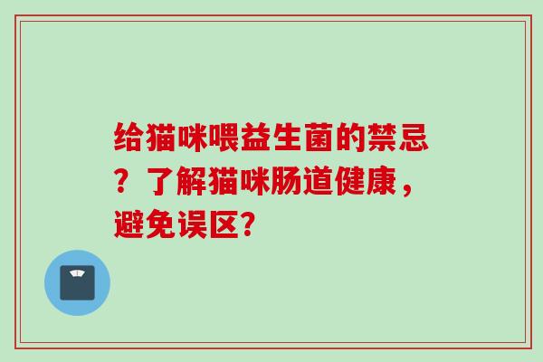 给猫咪喂益生菌的禁忌？了解猫咪肠道健康，避免误区？