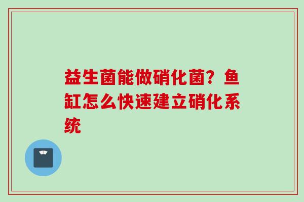 益生菌能做硝化菌?鱼缸怎么快速建立硝化系统 益生菌能做硝化菌?鱼缸怎么快速建立硝化系统