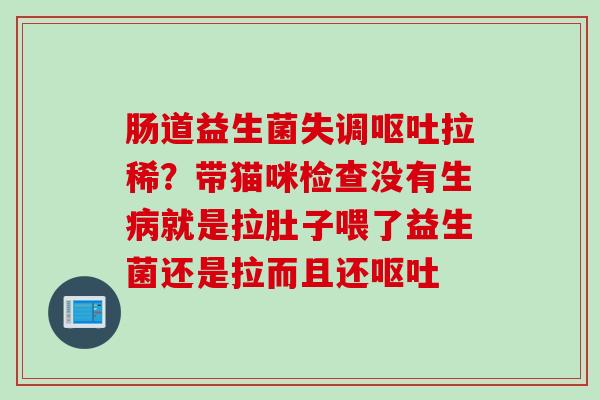 肠道益生菌失调拉稀?带猫咪检查没有生就是拉肚子喂了益生菌还是拉而且还 肠道益生菌失调拉稀?带猫咪检查没有生就是拉肚子喂了益生菌还是拉而且还