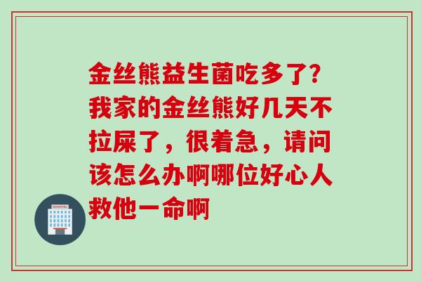 金丝熊益生菌吃多了？我家的金丝熊好几天不拉屎了，很着急，请问该怎么办啊哪位好心人救他一命啊