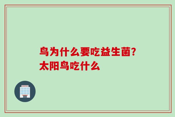 鸟为什么要吃益生菌?太阳鸟吃什么 鸟为什么要吃益生菌?太阳鸟吃什么