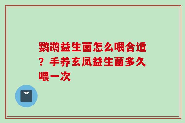 鹦鹉益生菌怎么喂合适？手养玄凤益生菌多久喂一次
