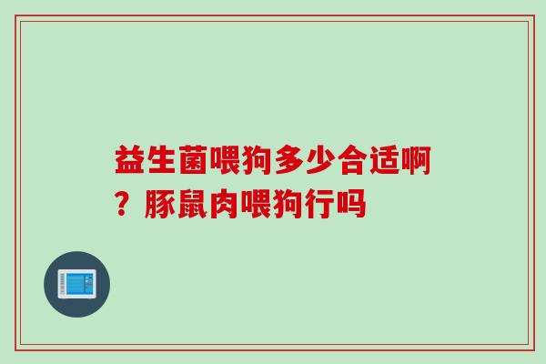 益生菌喂狗多少合适啊?豚鼠肉喂狗行吗 益生菌喂狗多少合适啊?豚鼠肉喂狗行吗