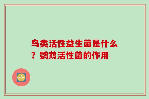 鸟类活性益生菌是什么?鹦鹉活性菌的作用 鸟类活性益生菌是什么?鹦鹉活性菌的作用