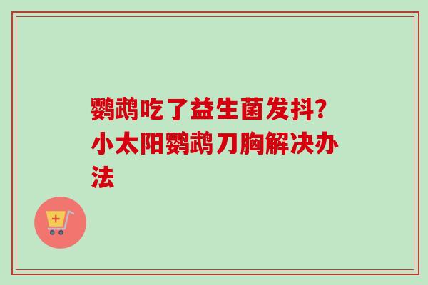 鹦鹉吃了益生菌发抖？小太阳鹦鹉刀胸解决办法