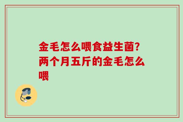 金毛怎么喂食益生菌？两个月五斤的金毛怎么喂