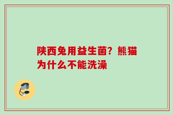 陕西兔用益生菌？熊猫为什么不能洗澡